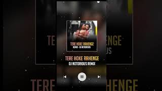 Tere Hoke Rahenge Dj Notorious Remix