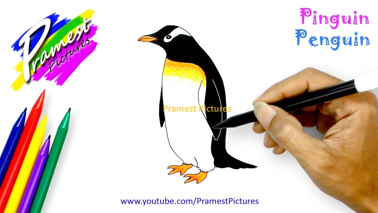 Pinguin Belajar Menggambar Mewarnai Gambar Hewan YouTube