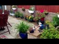 Garden Perfection, Stunning Perennial Plants And Shrubs. Garden Perfection, Stunning Perennial Plants And Shrubs.