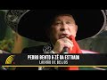 Pedro Bento & Zé da Estrada - Ladrão de Beijos - 55 Anos de Sucesso
