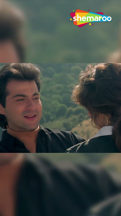 किसी दिन बनूंगी मैं | Madhuri Dixit, Sanjay Hit Hindi Song | Alka & Udit Duet Song Raja(1995) #songs