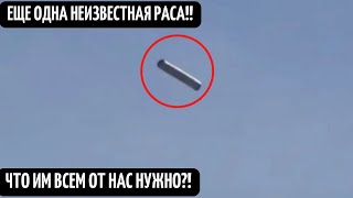 Свидетельство Существования Нло Эксперименты Инопланетян На Земле Документальный Фильм Hd Секретно