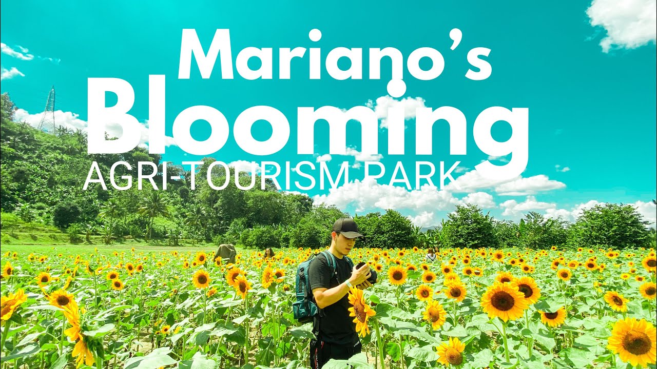 mariano's blooming agri tourism park history