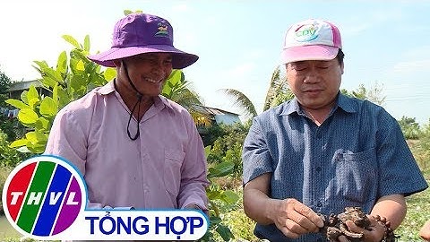 Nông nghiệp bền vững: Lập vườn từ đất ruộng - những vấn đề cần quan tâm