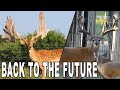 Stud Bucks at Keeper Ranch | Deer Farming Channel