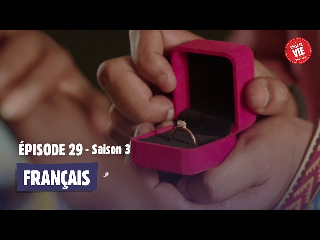 C'est la vie ! - Saison 3 - Episode 29