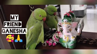 My friend Ganesha 😍🙏 "Mitthu dancing and talking with Ganesha" भगवान का भक्त  तोता #ParrotDevotee screenshot 4