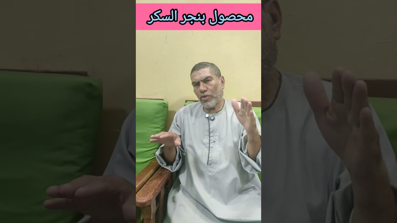 #بنجر_السكر