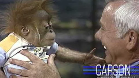 Baby Gorilla from San Diego Zoo: Orangutans on Johnny Carson's Tonight Show