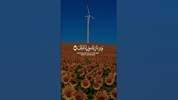 قل أعوذ برب الفلق ⚘️💙تلاوة خاشعة حالات واتس اب دينية مؤثرة حالات/عبد الباسط عبد الصمد 🌻🌻