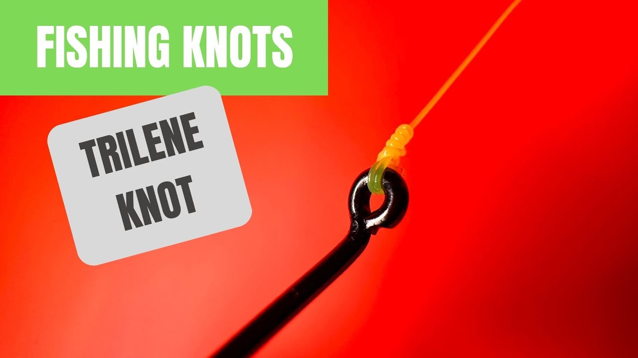 Fishing Knots: Trilene Knot - One of the BEST Fishing Knots for Mono or Fluorocarbon  Line 