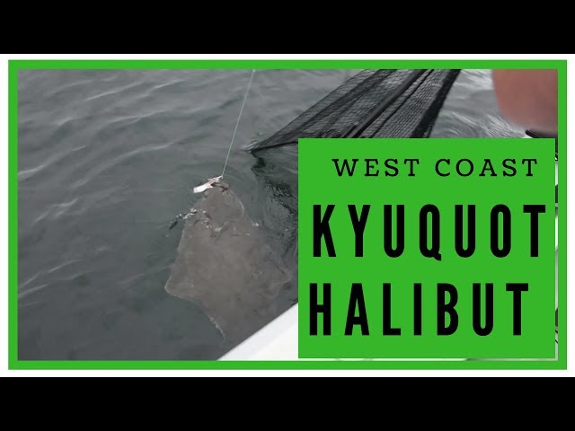 Halibut Fishing - Kyuquot, BC : 2018