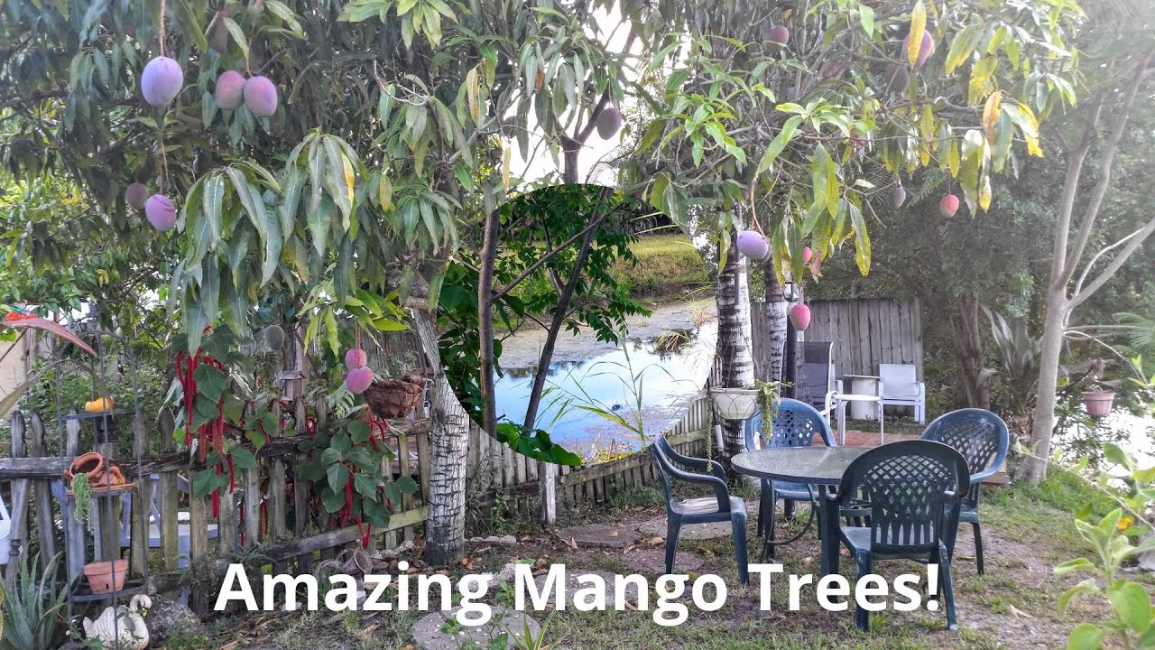 Beautiful 3/2 Boca Raton Home for Sale Southwind Lakes 9363