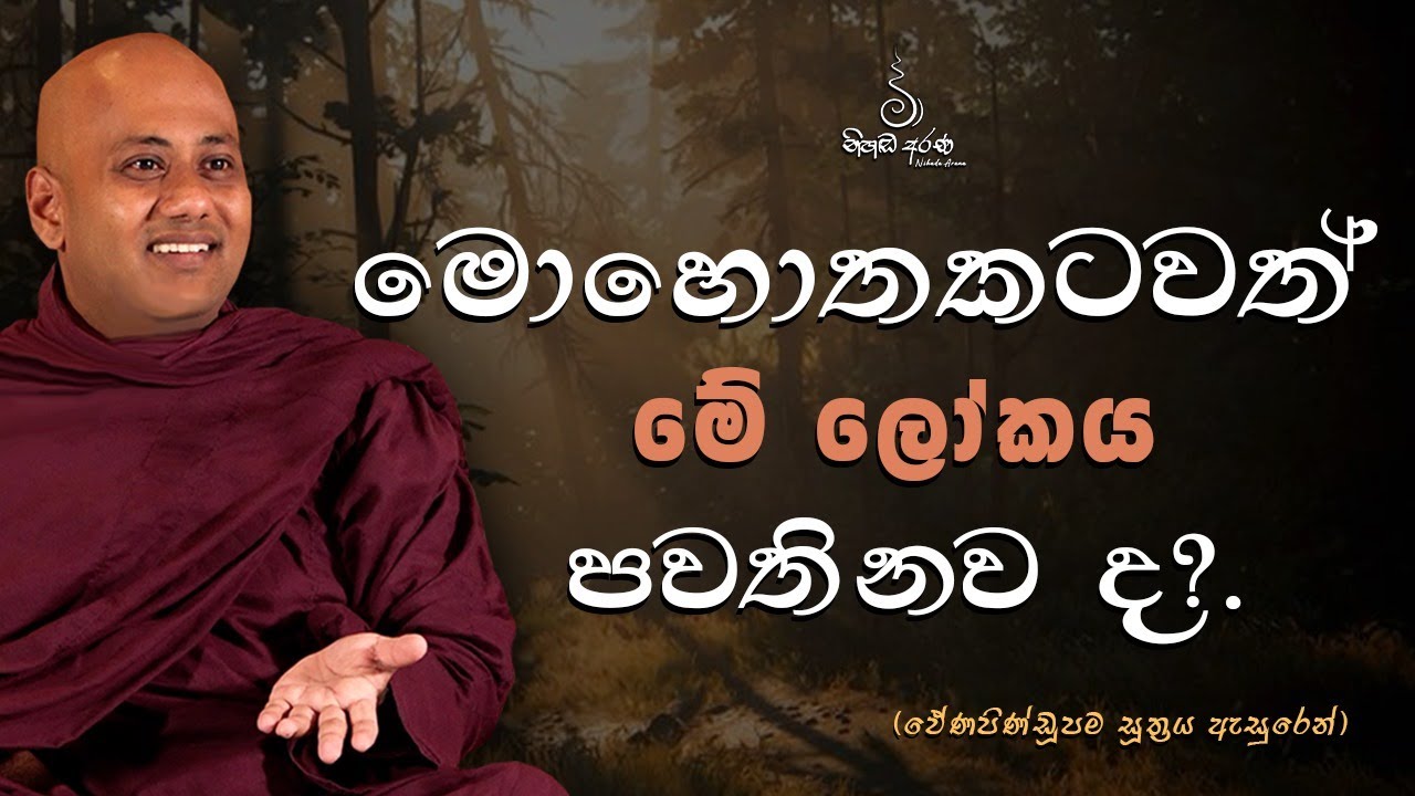 මොහොතකටවත් මේ ලෝකය පවතිනව ද ? - Ven Aluthgamgoda Gnanaweera Thero | නිහඬ අරණ