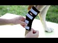 Neoally Dog Rear Leg Brace Long Version (Pair)
