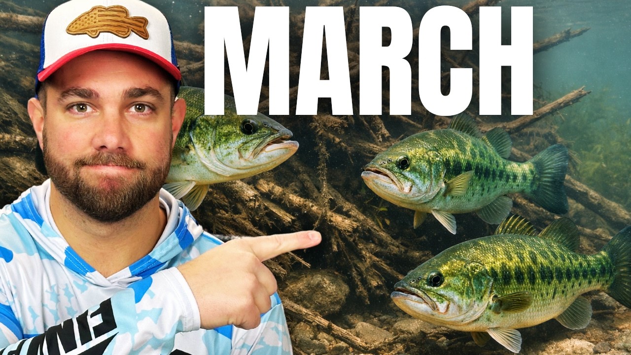 What You Need To Know About MARCH Fishing