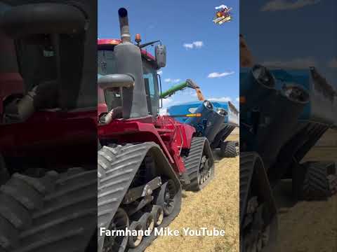 Colorado Wheat Harvest