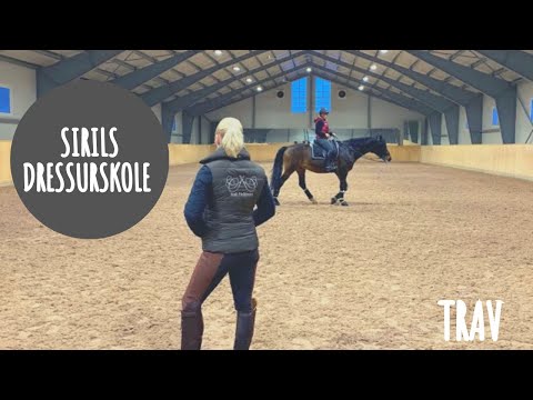 #² 13Hest360’s dressurskole: Trav #² 13Hest360’s dressurskole: Trav