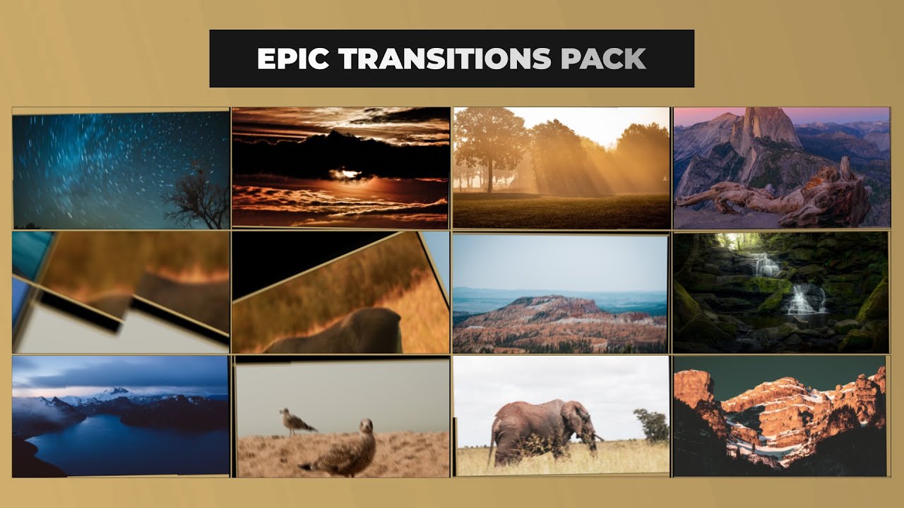 Epic Distortion Transitions Preset Pack | Motion Graphics | AE, Pr ...