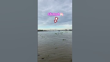 CẦU RẠCH MIỄU. KẾT NỐI TỈNH TIỀN GIANG VÀ BẾN TRE. 394 #shorts