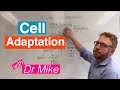 Cell adaptation