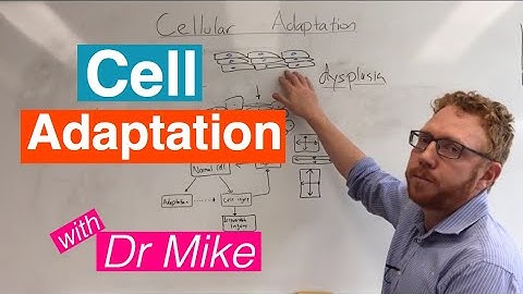 Cell adaptation