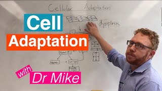 Cell adaptation
