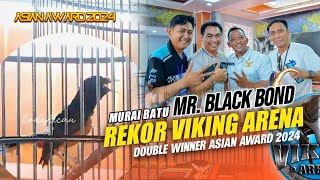 Rekor di VIKING ARENA ‼Murai Mr. BLACK BOND Double winner Asian Award 2024