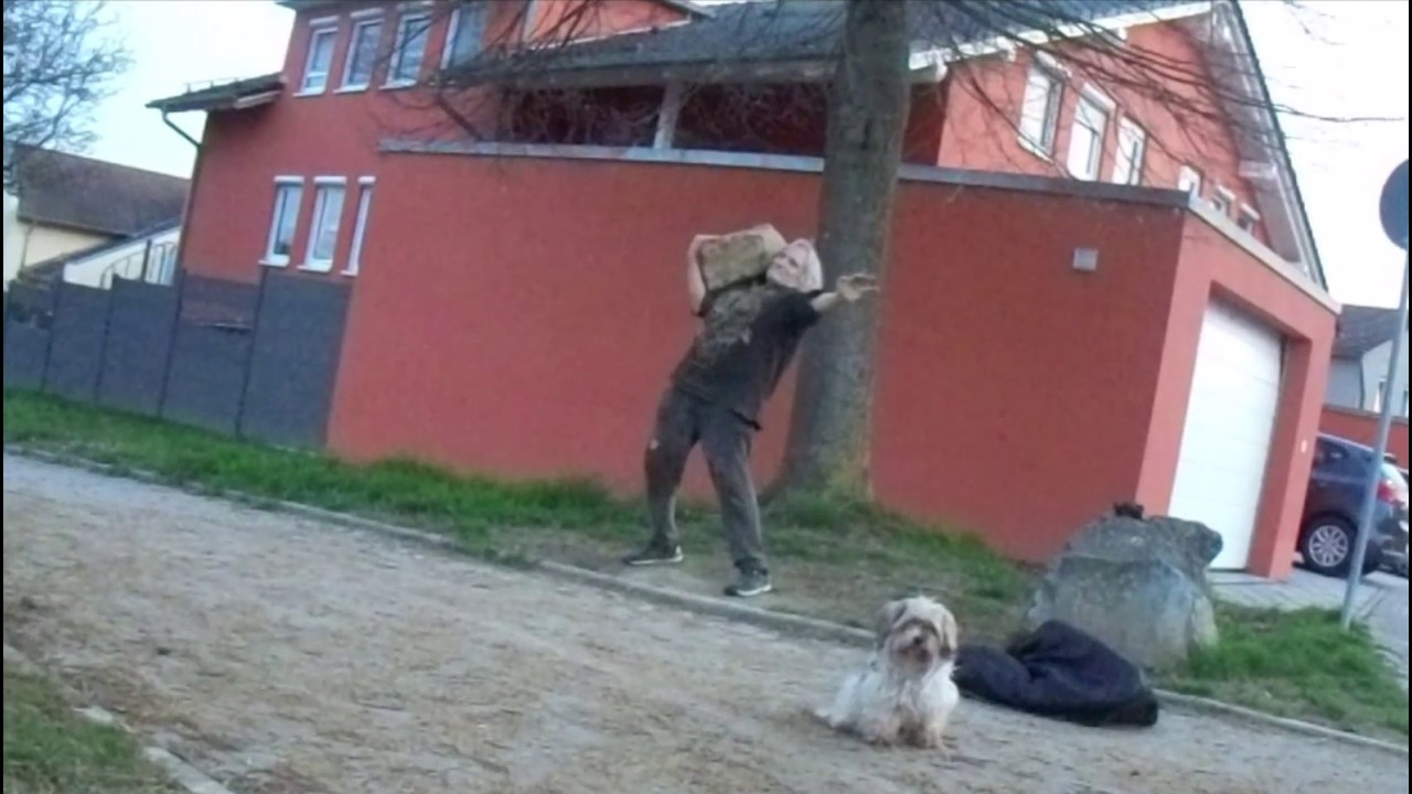 SUNDAY EVENING WALK/Steinheben: c.a. 40 - 50 kg schweren Stein schultern: 6x1 👍🏻💪🏻😊❤️🤝🐶🪨🌳🍃🍂🍁🏡🏘🦅🌄🌃