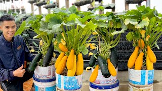 Have You Ever Seen Zucchini With So Many Fruits? Didn