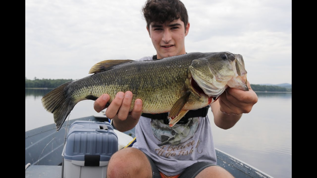 HUGE Maine Largemouth Bass! YouTube
