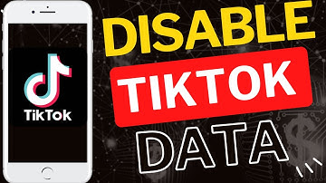 How to Disable TikTok Background Data on Android