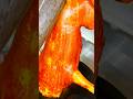 This Roasted Dog 🐕 Skin Brightness 💥 Than Your Future 😁 #usa #shorts