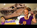 Meekah Learns About Dinosaurs at the Natural History Museum! | Meekah Full Episodes