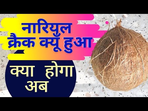 🔴 नारियल फटना शुभ या अशुभ | नारियल के टोटके | Coconut Ya  Nariyal Crack Hona Shubh Ya Ashubh |