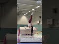 Gymnastic Horse Training Device | Performance Practice #shorts #viral #machine #technology