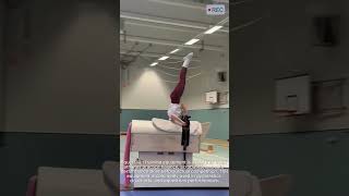 Gymnastic Horse Training Device | Performance Practice #shorts #viral #machine #technology