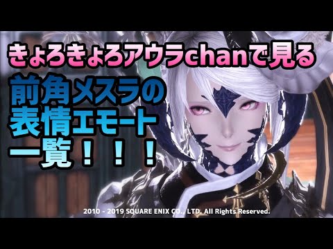 Ff14 きょろきょろアウラちゃんで見る 前角メスラ表情エモート一覧 Youtube