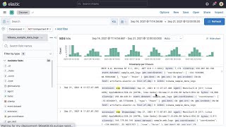 Filtering data in Kibana screenshot 5