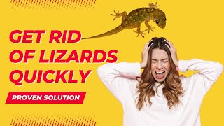 9 Effective Tips To Get Rid Of Lizards From Home (Proven Methods)