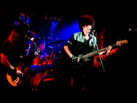 THE THIN LIZZY EXPERIENCE - STILL IN LOVE WITH YOU