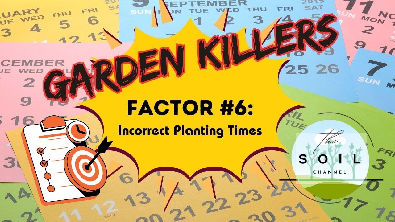Timing is Everything: Stop Killing Your Garden with Bad Planting Dates ...