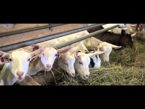Alberta Open Farm Days Alberta Open Farm Days
