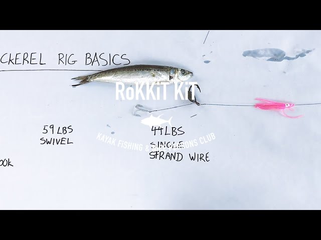 Dead Bait Wire Mackerel Rig 101 - To Catch big Spanish! Fishing Australia 