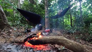 นอนป่า สำรวจป่าหาทำเลนอน พื้นที่แบบนี้นอนที่สูงไม่ได้ ต้องก่อไฟให้แรงถึงจะปลอดภัยจากสัตว์ep.121