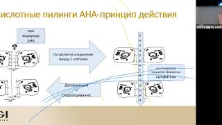 видео: Энциклопедия пилингов GIGI картинка: Энциклопедия пилингов GIGI