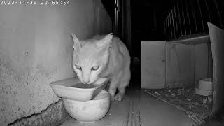 B0A7B9973550 20221123003956762