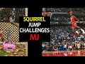 Michael Jordan and Squirrel Jump Challenge / 마이클조던과 다람쥐의 점프 도전기