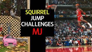 Michael Jordan and Squirrel Jump Challenge / 마이클조던과 다람쥐의 점프 도전기