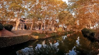 Canal Du Midi